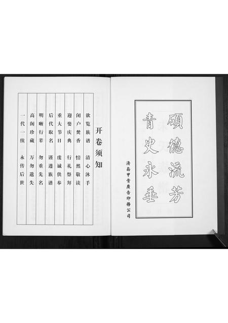 山东朱氏-朱氏族谱[不分卷].pdf电子版预览图2