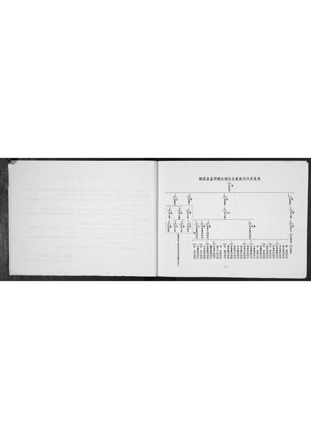 甘肃杜氏-杜氏家谱.pdf电子版预览图4