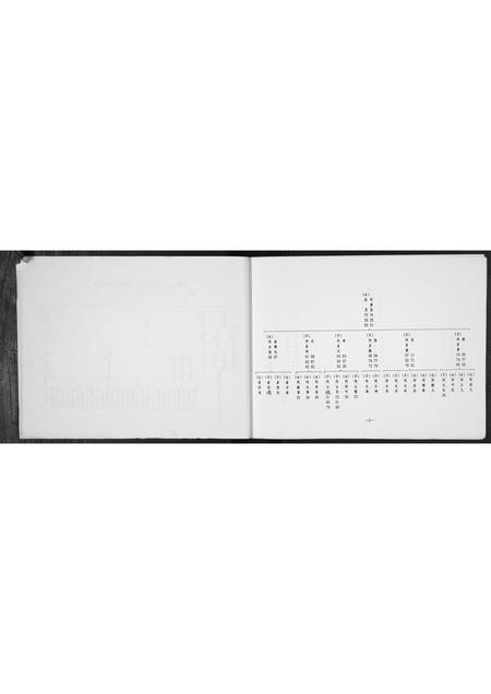 甘肃杜氏-杜氏家谱.pdf电子版预览图5