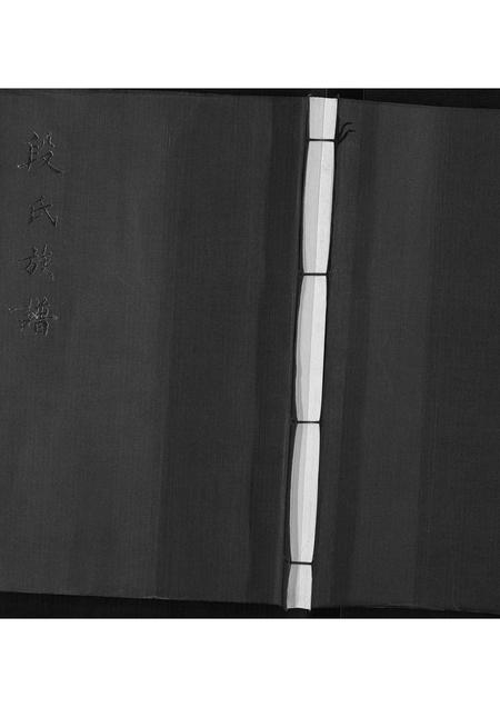 山东段氏-段氏族谱.pdf电子版缩略图