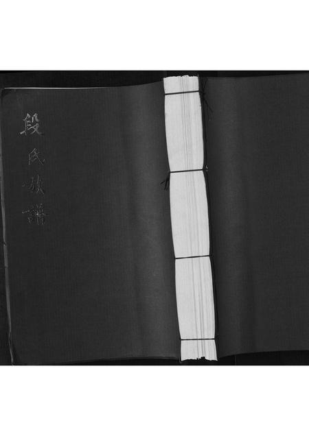 山东段氏-段氏族谱.pdf电子版缩略图