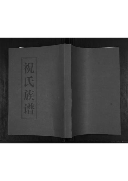 山东祝氏-祝氏族谱.pdf电子版缩略图