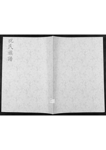 山东祝氏-祝氏族谱[不分卷].pdf电子版缩略图