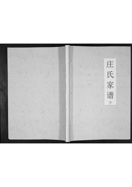 吉林庄氏-庄氏家谱[上下册].pdf电子版缩略图