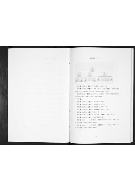 吉林庄氏-庄氏家谱[上下册].pdf电子版预览图3