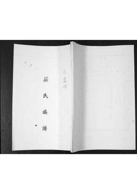 山东庄氏-庄氏族谱.pdf电子版缩略图