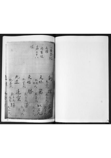 山东宗氏-胶东宗氏家乘.pdf电子版预览图4