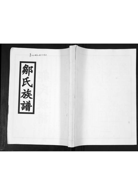 山东邹氏-邹氏族谱[2卷].pdf电子版缩略图