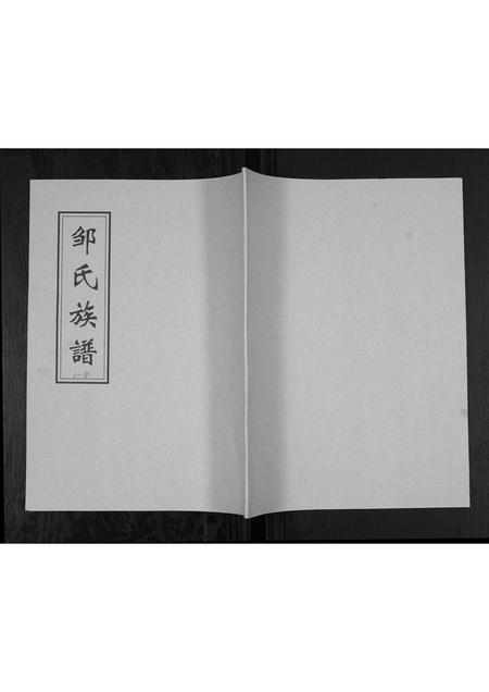 山东邹氏-邹氏族谱[不分卷].pdf电子版缩略图