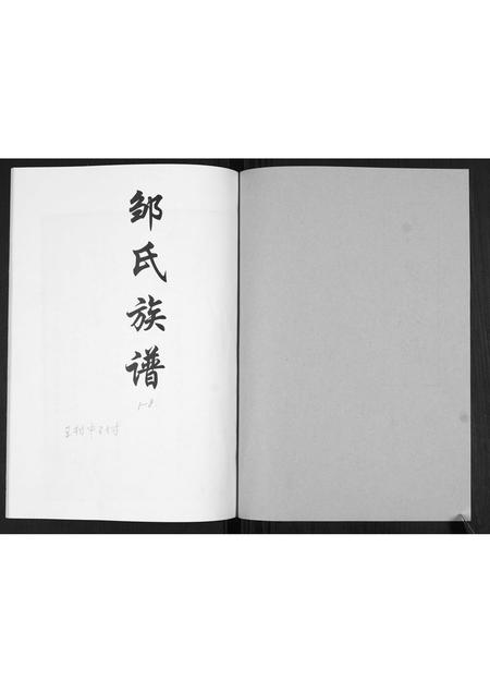 山东邹氏-邹氏族谱[不分卷].pdf电子版预览图1