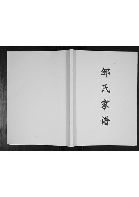 贵州邹氏-邹氏家谱[不分卷].pdf电子版缩略图