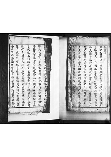 山东方氏-方氏族谱.pdf电子版预览图1