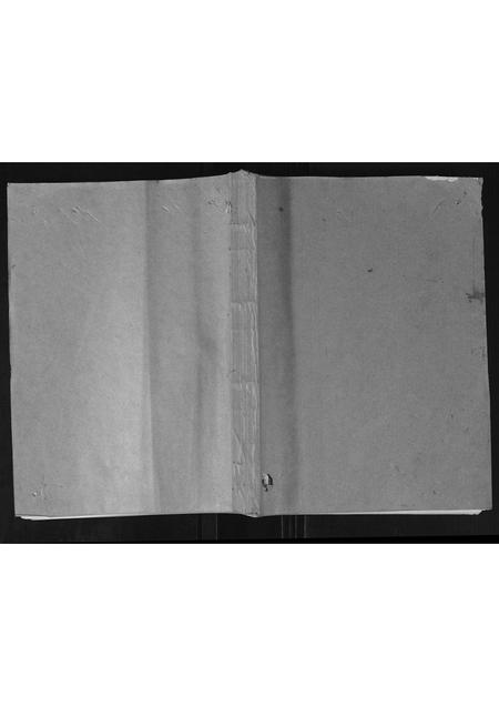 广西方氏-隆安方氏宗谱.pdf电子版缩略图