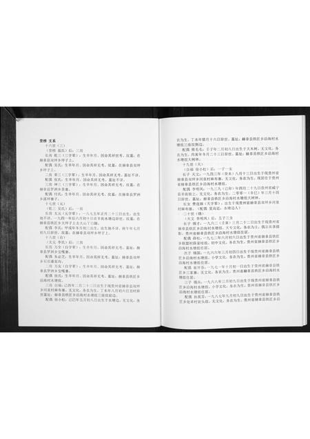 贵州费氏-费氏恩用派支谱[2册].pdf电子版预览图2