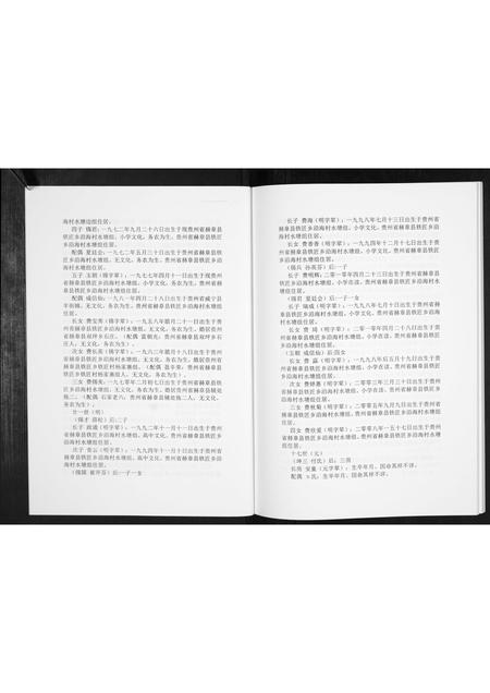 贵州费氏-费氏恩用派支谱[2册].pdf电子版预览图3