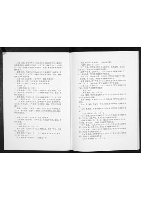 贵州费氏-费氏恩用派支谱[2册].pdf电子版预览图4