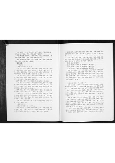 贵州费氏-费氏恩用派支谱[2册].pdf电子版预览图5