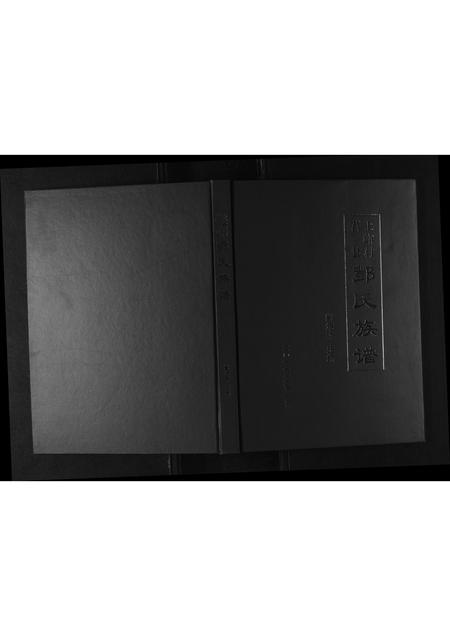 山东酆氏-莒县上峪村酆氏族谱.pdf电子版缩略图