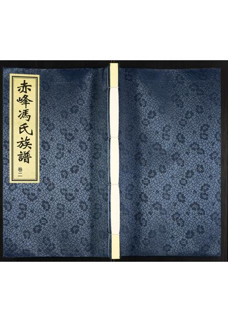 内蒙冯氏-冯氏族谱.pdf电子版缩略图