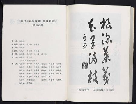 四川冯氏-宣汉县冯氏族谱[不分卷].pdf电子版预览图2