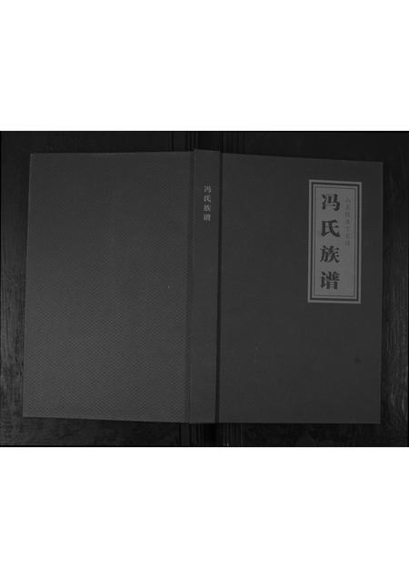 山东冯氏-山东陵县丁家楼冯氏族谱.pdf电子版缩略图