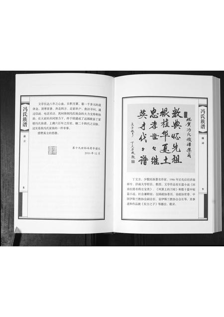 山东冯氏-山东陵县丁家楼冯氏族谱.pdf电子版预览图5