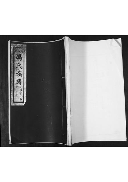 山东冯氏-冯氏族谱.pdf电子版缩略图