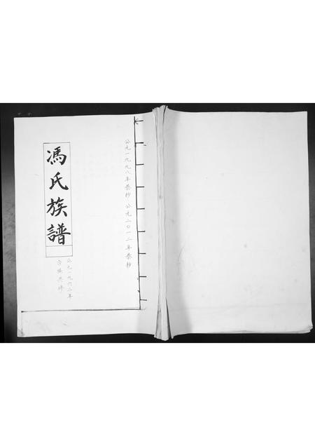 山东冯氏-冯氏族谱.pdf电子版缩略图