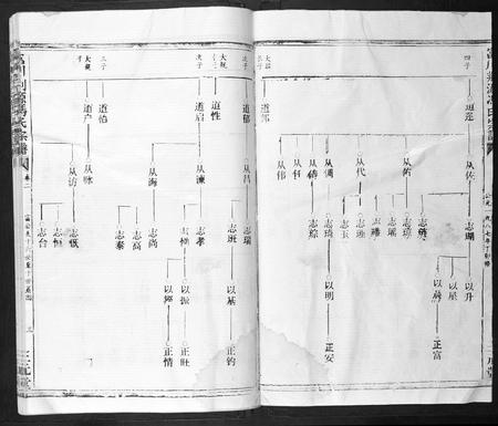 广西冯氏-富川荆源冯氏宗谱.pdf电子版预览图3