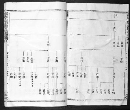 广西冯氏-富川荆源冯氏宗谱.pdf电子版预览图4