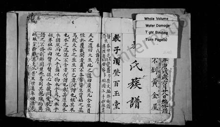 四川奉氏-奉氏族谱.pdf电子版预览图1