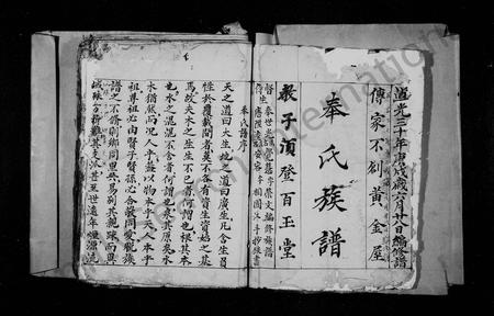 四川奉氏-奉氏族谱.pdf电子版预览图2