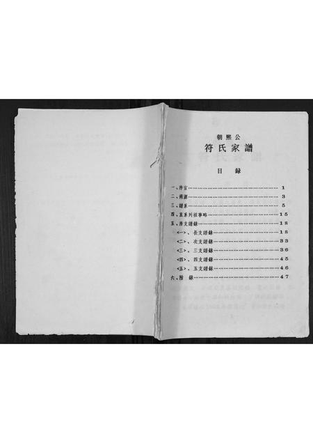 海南符氏-符氏家谱[不分卷].pdf电子版缩略图