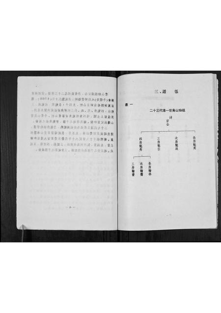 海南符氏-符氏家谱[不分卷].pdf电子版预览图5