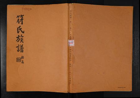 海南符氏-符氏族谱.pdf电子版缩略图