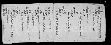 四川傅氏-傅氏宗谱.pdf电子版预览图4