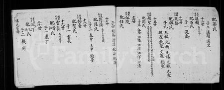 四川傅氏-傅氏宗谱.pdf电子版预览图5