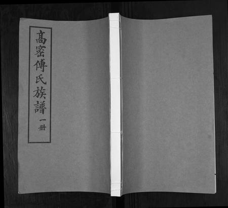 山东傅氏-傅氏族谱.pdf电子版缩略图