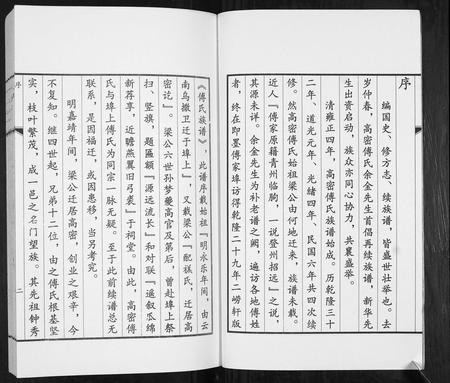 山东傅氏-傅氏族谱.pdf电子版预览图2