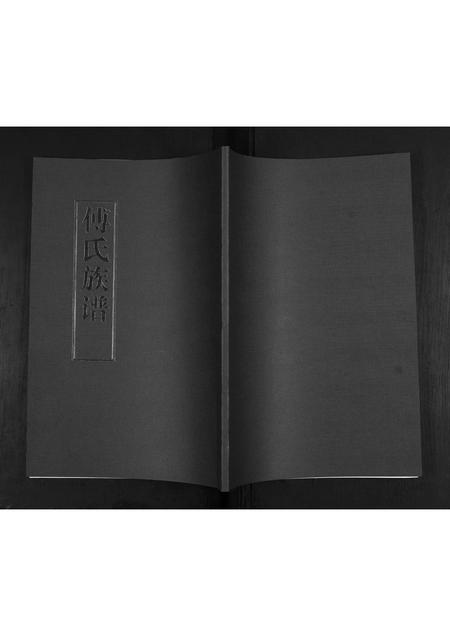 山东傅氏-傅氏族谱.pdf电子版缩略图