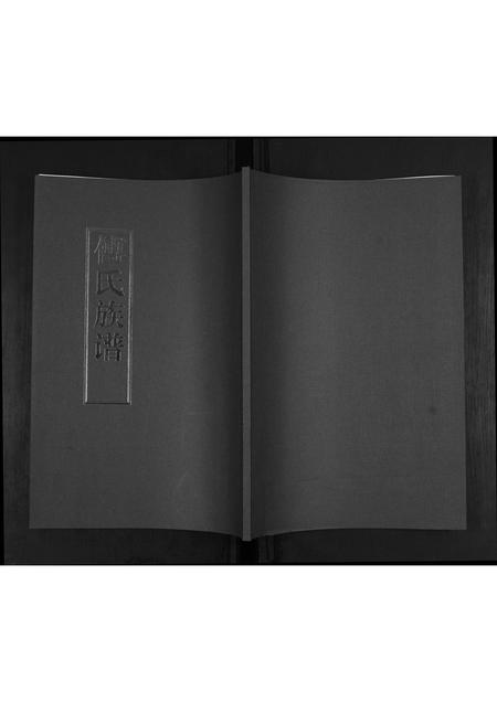 山东傅氏-傅氏族谱.pdf电子版缩略图