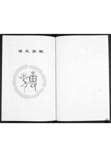 山东傅氏-傅氏族谱.pdf电子版预览图2