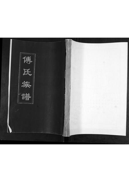 山东傅氏-傅氏族谱.pdf电子版缩略图