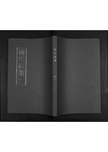 山东傅氏-傅氏族谱[3卷].pdf电子版缩略图