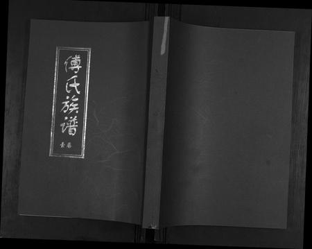 山东傅氏-傅氏族谱[3卷].pdf电子版缩略图