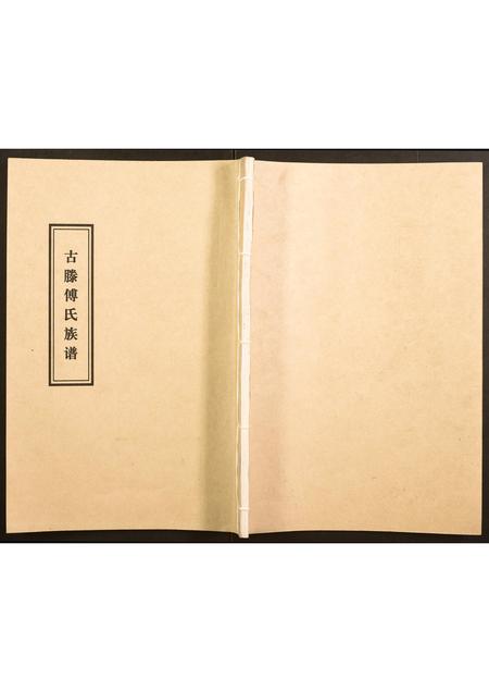 山东傅氏-古滕傅氏族谱.pdf电子版缩略图