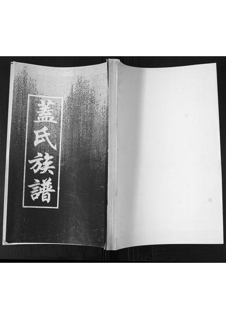 山东盖氏-盖氏族谱[不分卷].pdf电子版缩略图