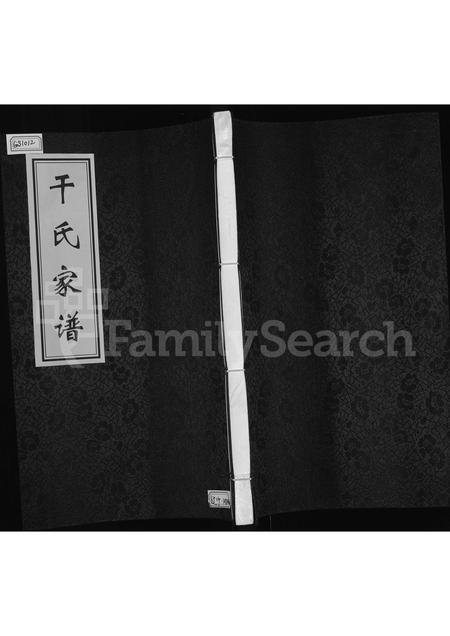 黑龙江干氏-干氏家谱.pdf电子版缩略图