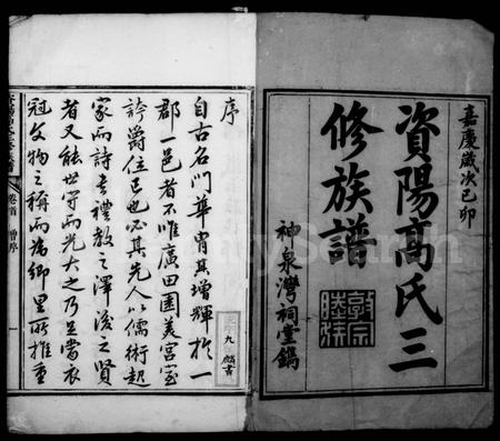 四川高氏-资阳高氏族谱 [12卷,首2卷].pdf电子版预览图2