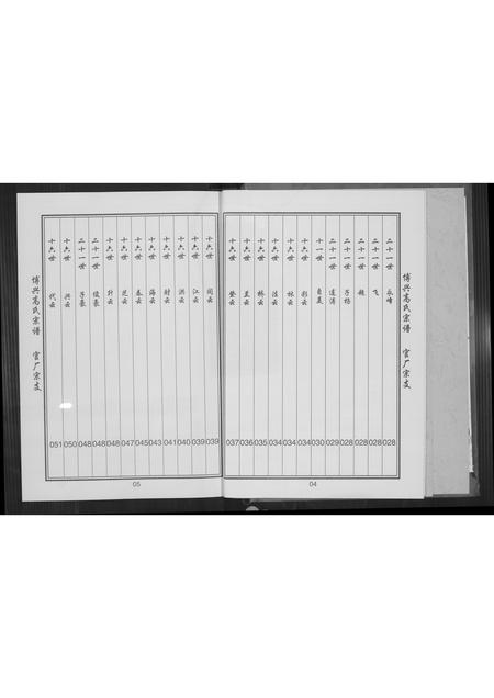 山东高氏-博兴高氏宗谱.pdf电子版预览图5